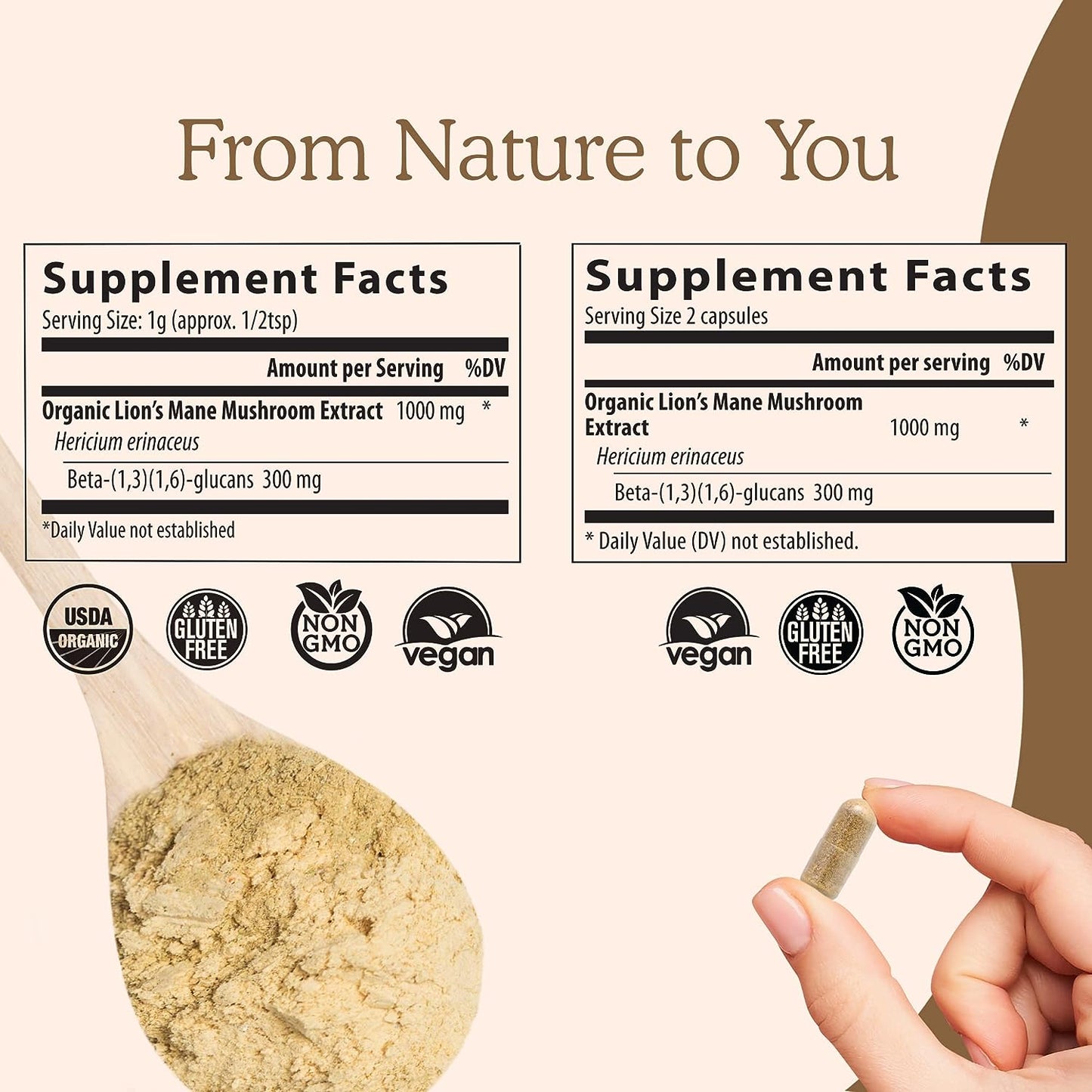 Brain Mushroom Immune Support Supplement – Memory & Focus Formula | Vegan Capsules | 300 Count